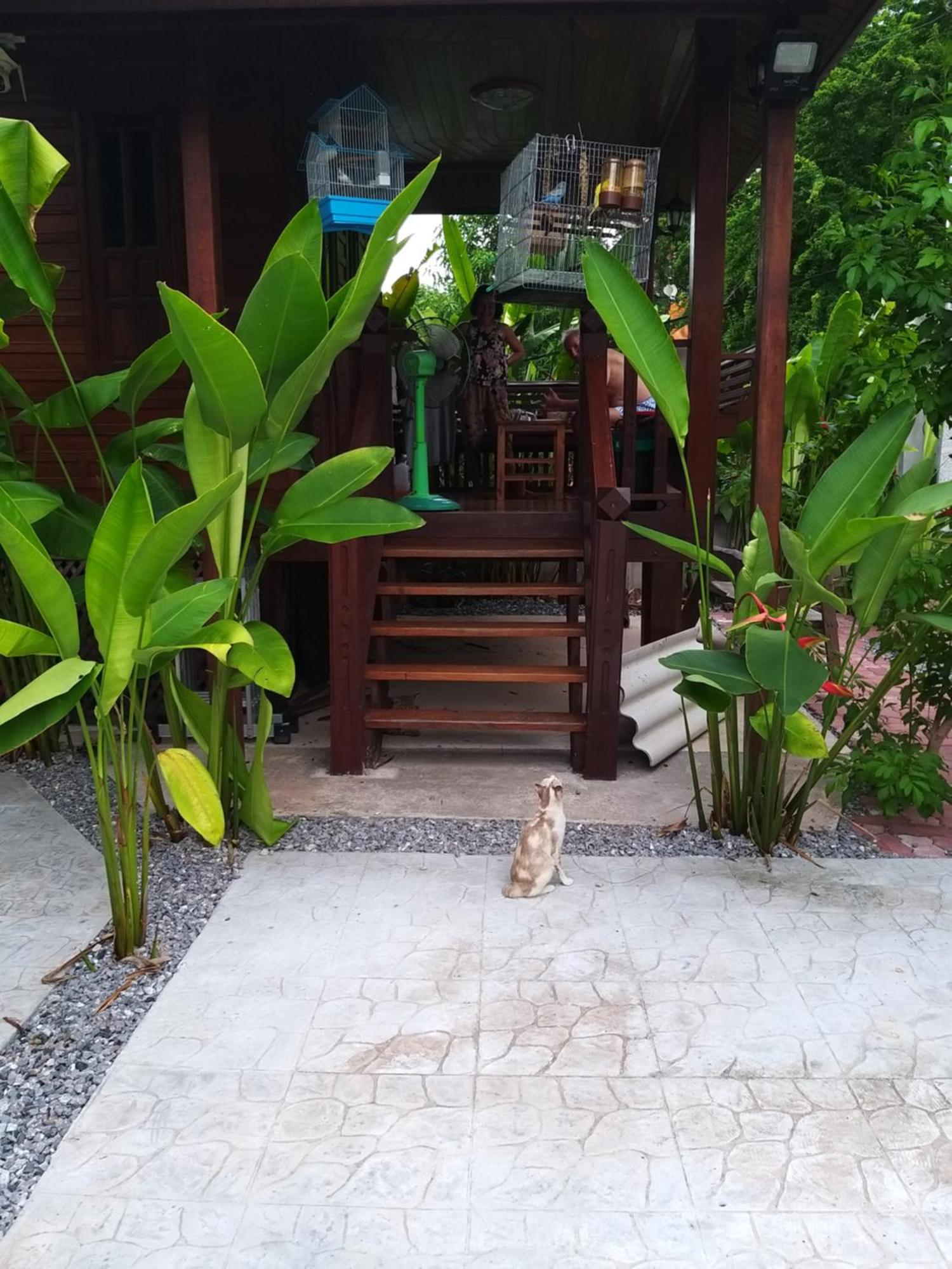 บ้านทะเลอิ่มเอม Bann Talay Im Eimm Ban Phe Eksteriør billede